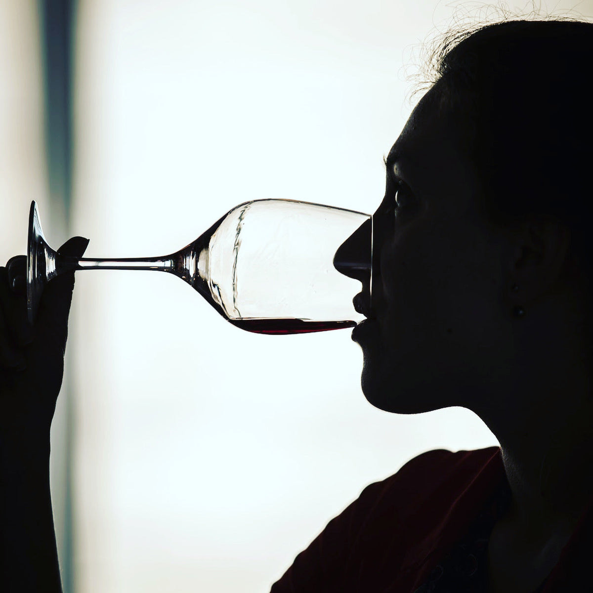 VINI DEL ROERO