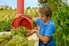 Barbera Praie doc 2024. Mandirola